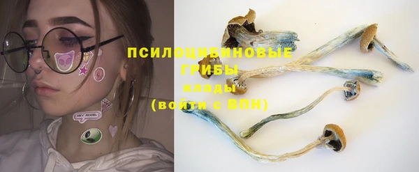 прущие крисы Алексеевка