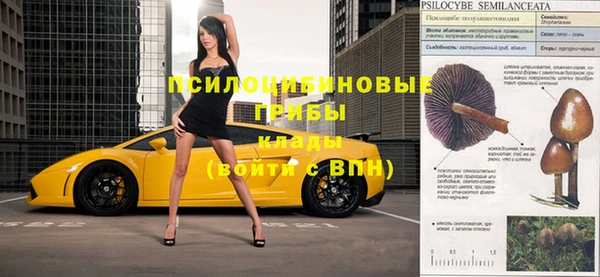 прущие крисы Алексеевка