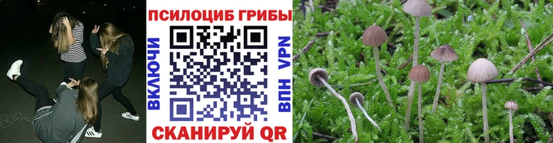 Галлюциногенные грибы мицелий Чебаркуль