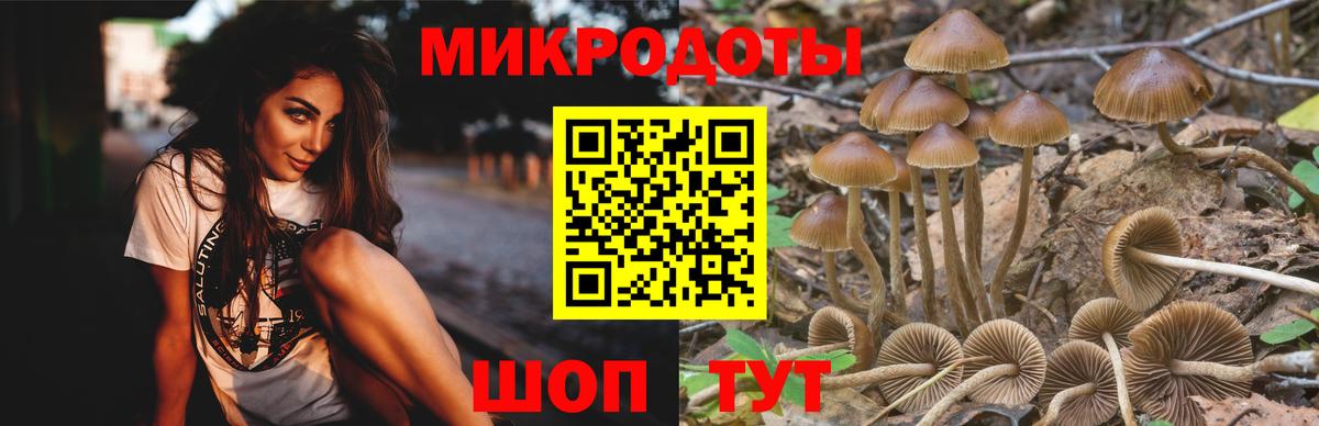 Чебаркуль  купить наркоту  Галлюциногенные грибы мицелий  Вход с VPN  Галлюциногенные грибы ЛСД 